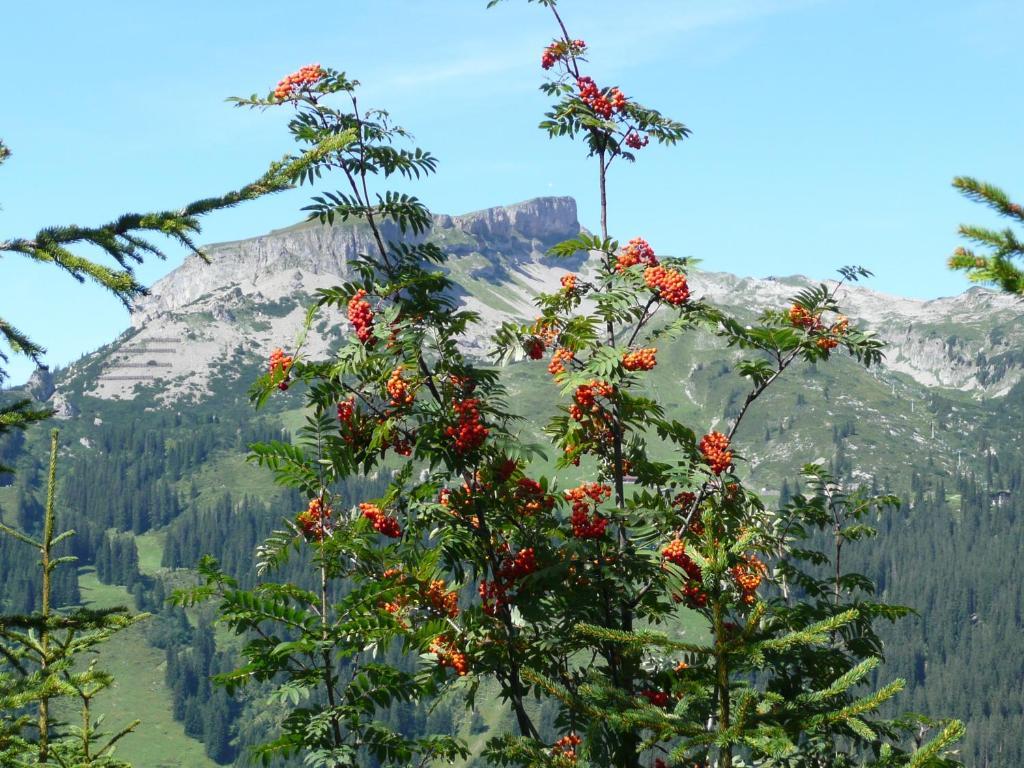 Gaestehaus Schuler Riezlern Esterno foto